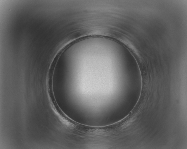 X0000073510991200608071051