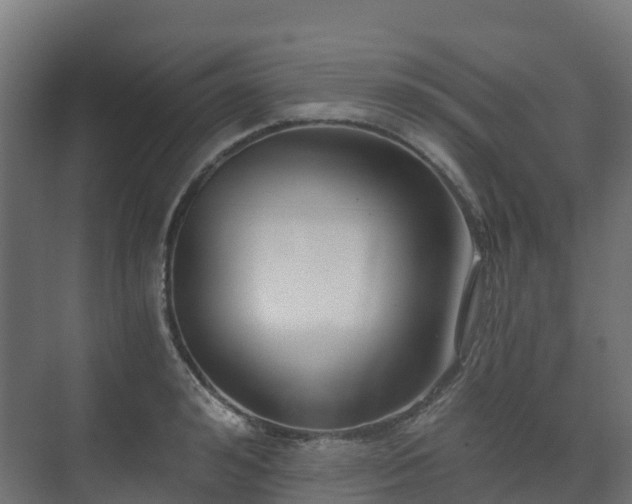 X0000073510992200608071051
