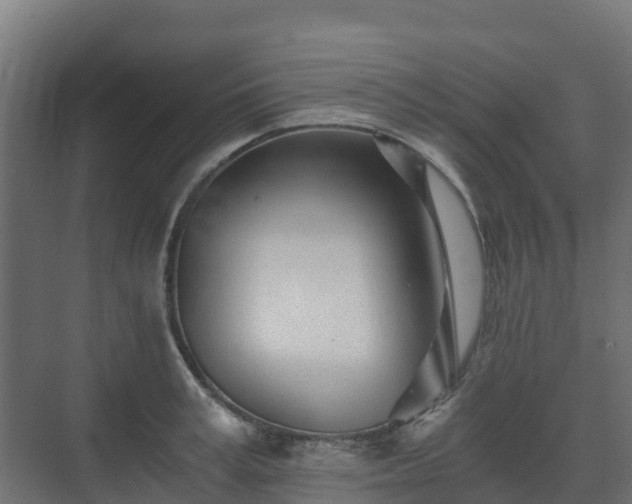 X0000073510995200608071051