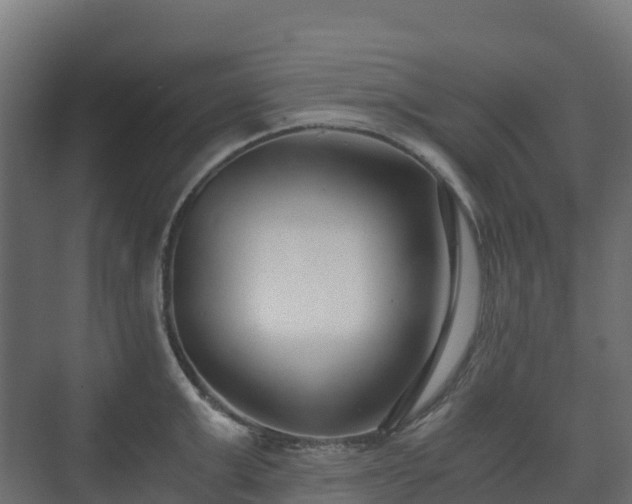 X0000073510999200608071051