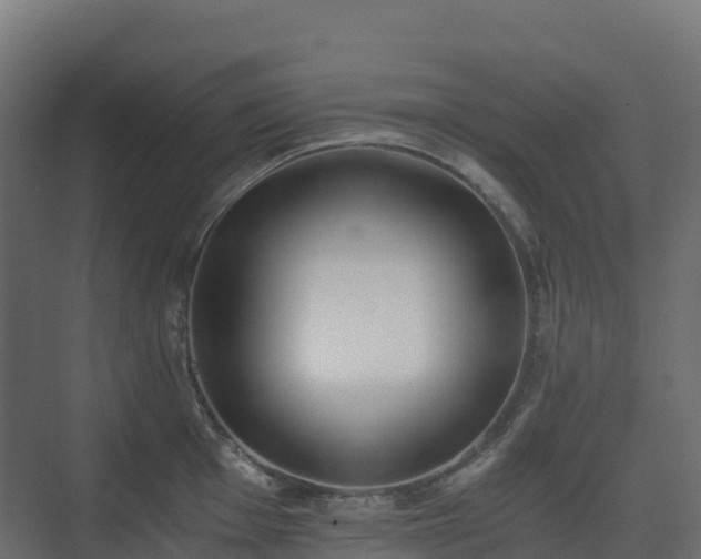 X0000073511001200608071051