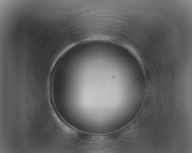 X0000073511003200608071051