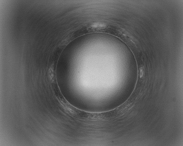 X0000073511011200608071050