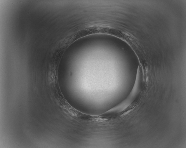 X0000073511014200608071050