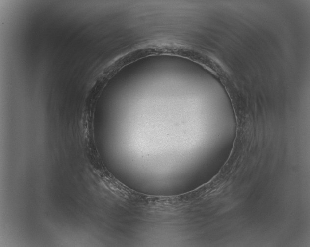 X0000073511016200608071050