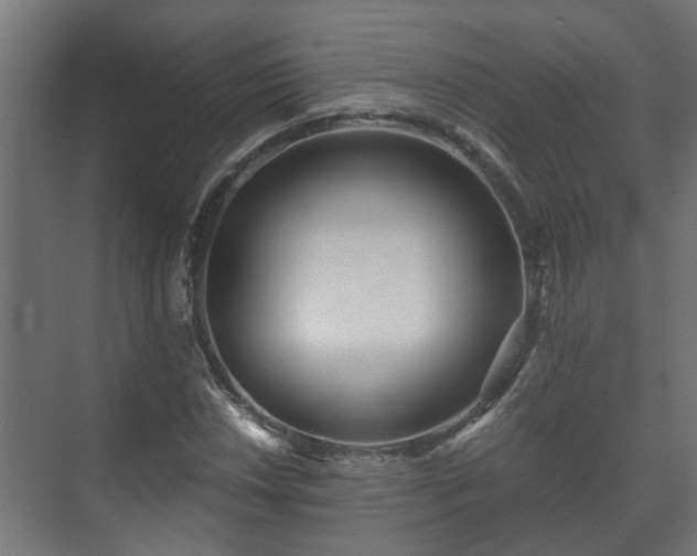 X0000073511018200608071050