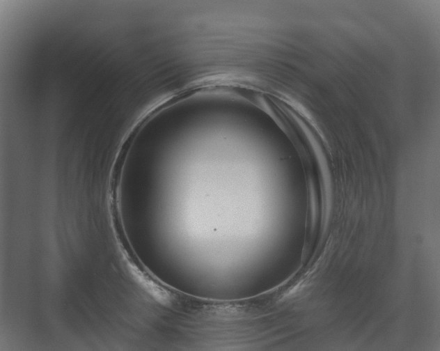 X0000073511042200608071050