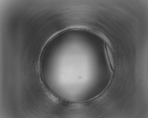 X0000073511044200608071050