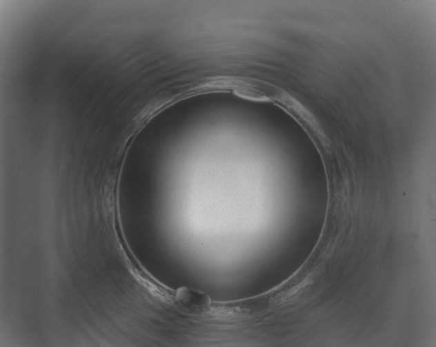 X0000073511049200608071050
