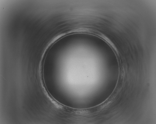 X0000073511053200608071050