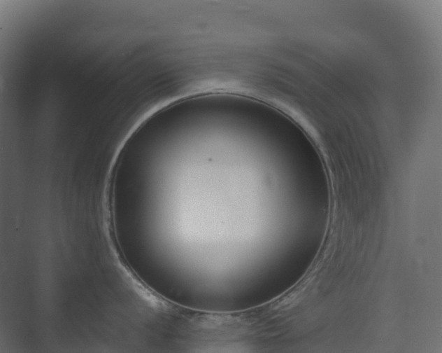 X0000073511056200608071050