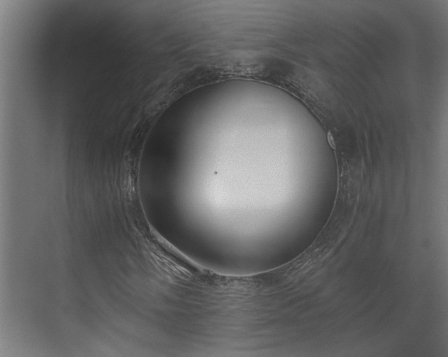 X0000073511058200608071050