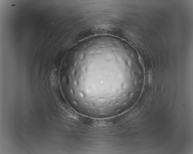 X0000073511059200608071050