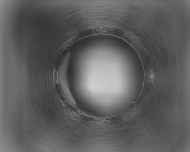 X0000073511060200608071050