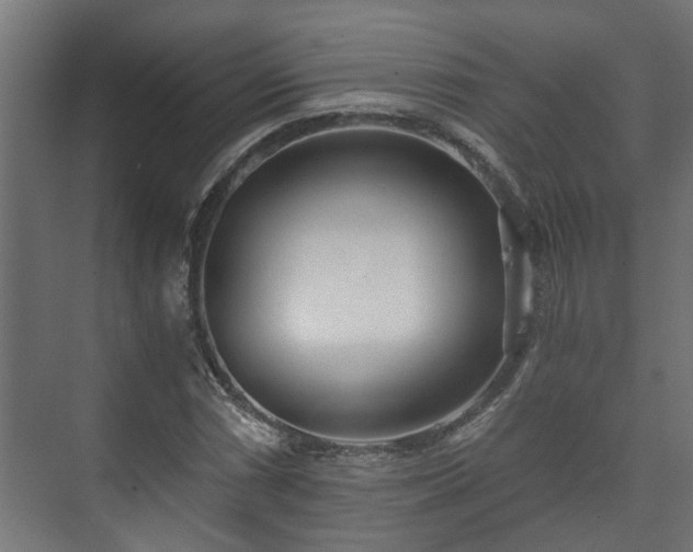 X0000073511066200608071049