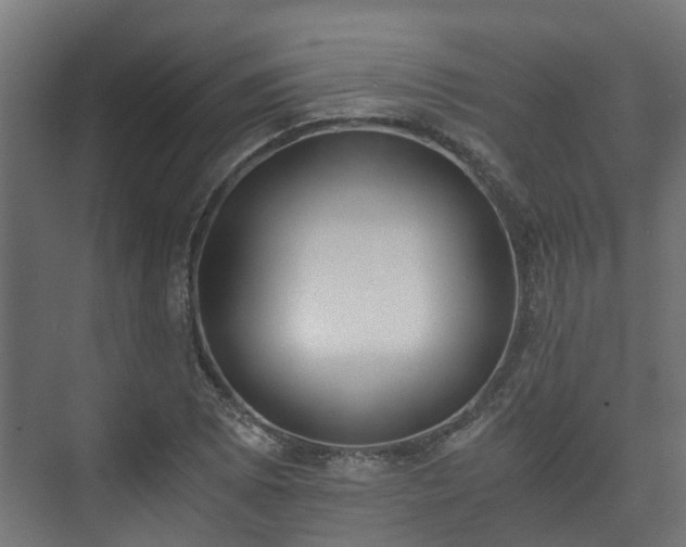 X0000073511073200608071049