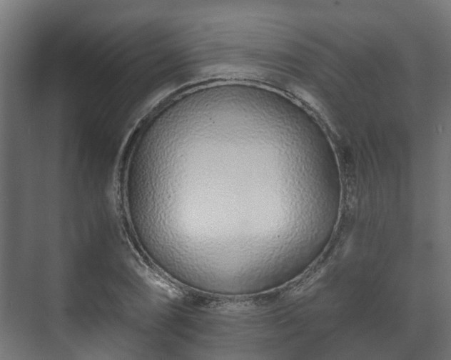X0000073511074200608071049