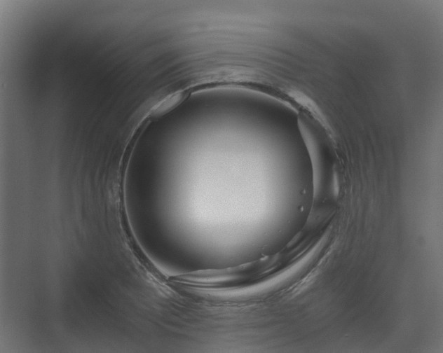 X0000073511081200608071049