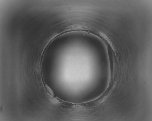 X0000073511089200608071049