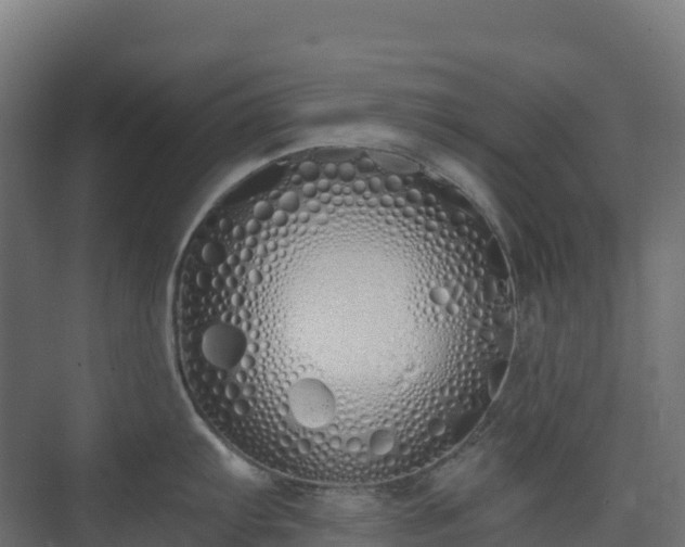 X0000073511103200608071049