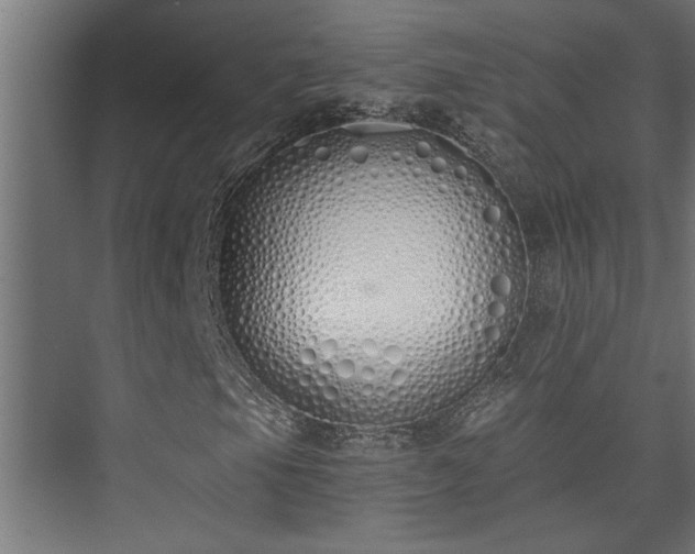 X0000073511105200608071048