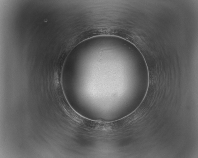 X0000073511106200608071048