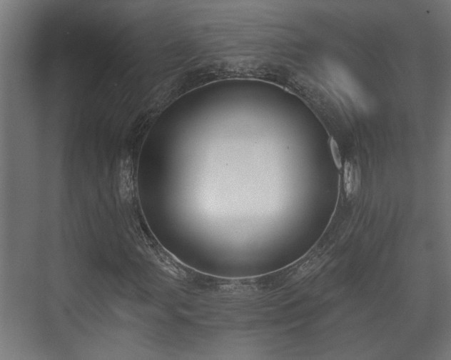 X0000073511107200608071048