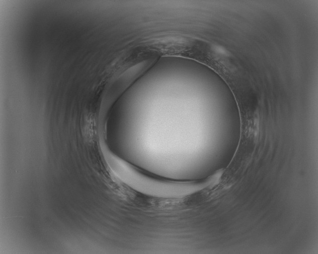X0000073511108200608071048