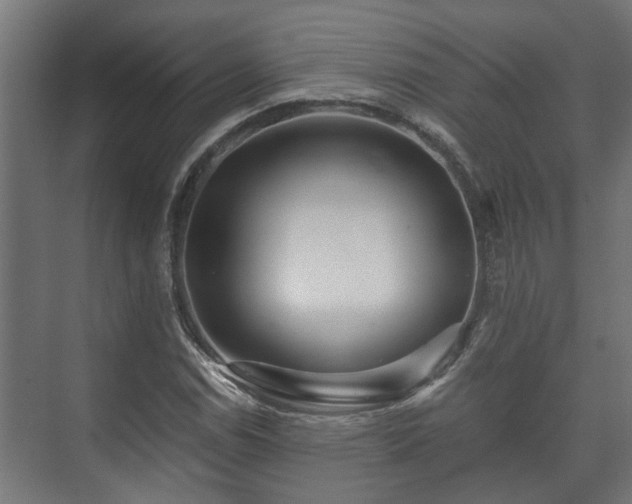 X0000073511114200608071048