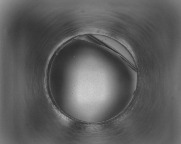 X0000073511136200608071049