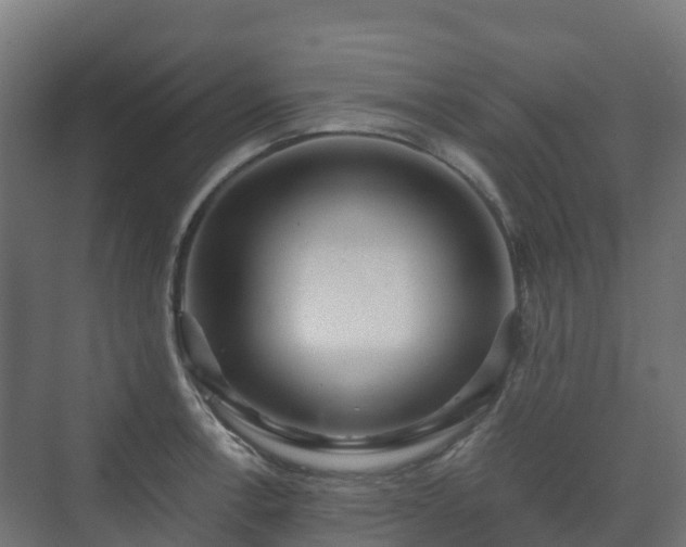 X0000073511138200608071049