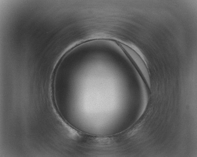 X0000073511142200608071049