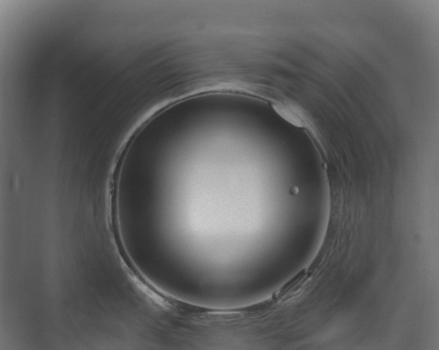 X0000073511151200608071049