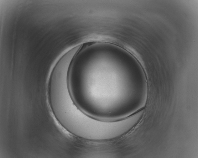 X0000073511152200608071049