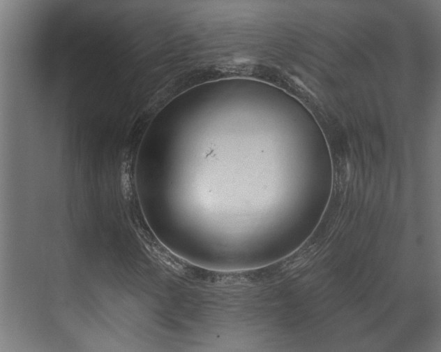 X0000073511154200608071048