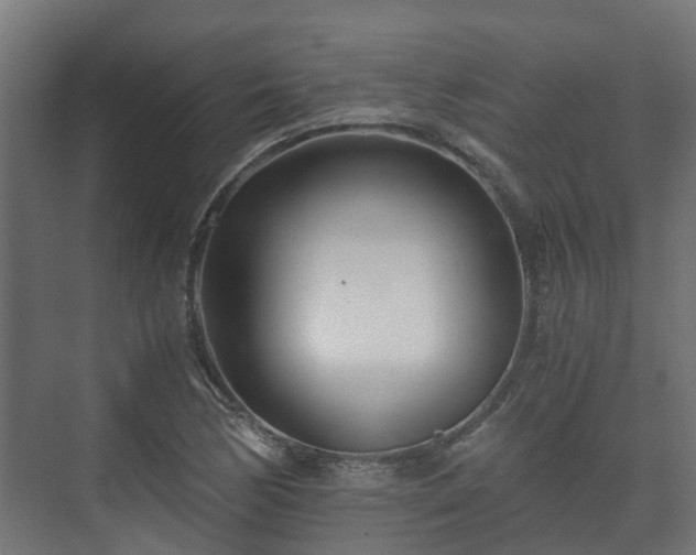 X0000073511170200608071048