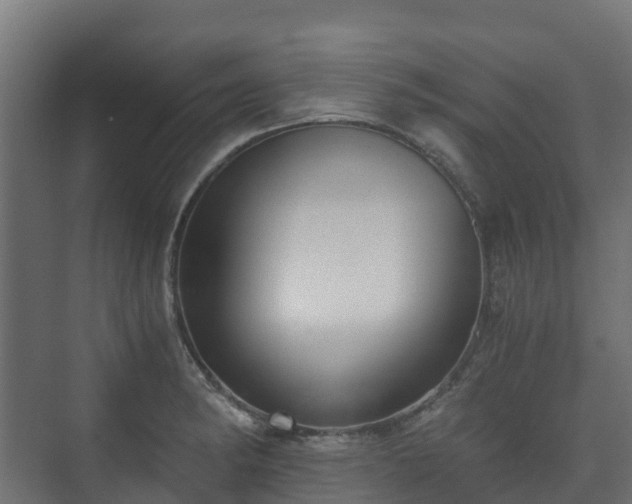 X0000073511182200608071048