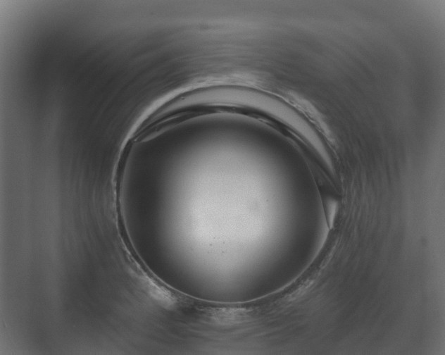 X0000073511184200608071048