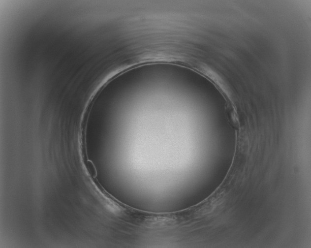 X0000073511187200608071047