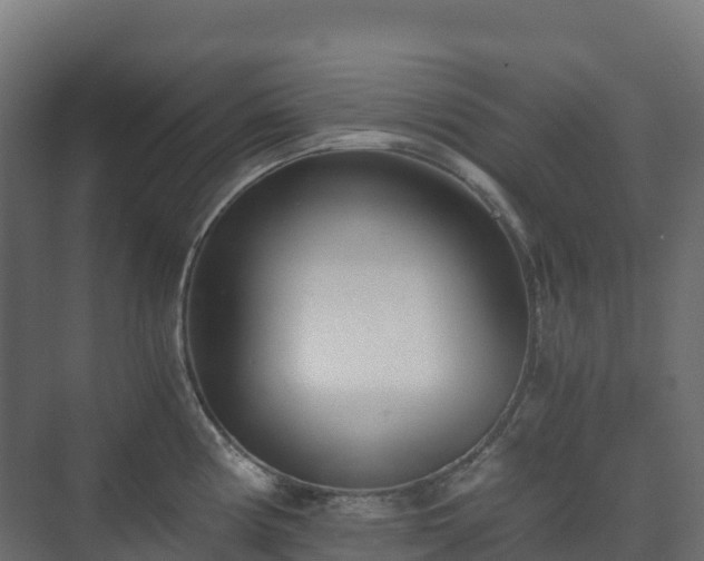 X0000073511194200608071047