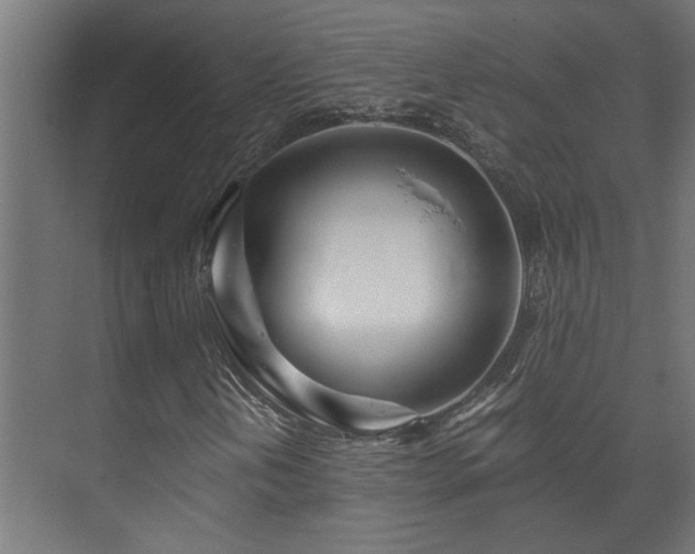 X0000073511202200608071046