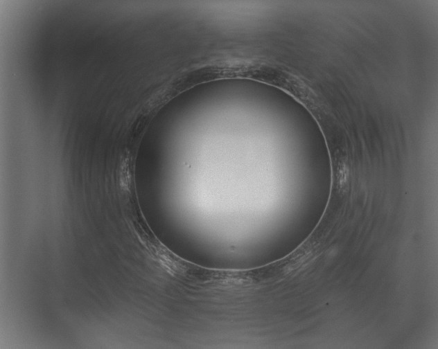 X0000073511204200608071046