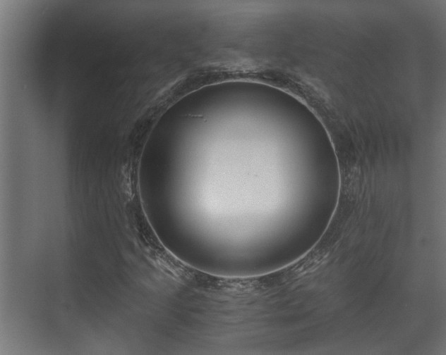 X0000073511205200608071046