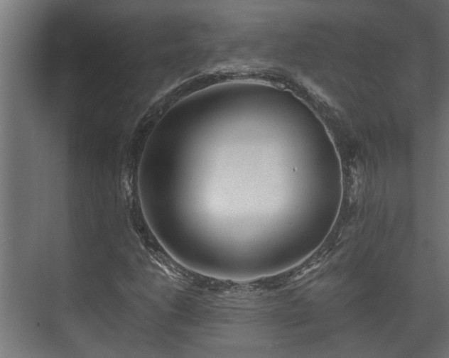 X0000073511206200608071047