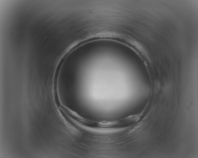 X0000073511229200608071047