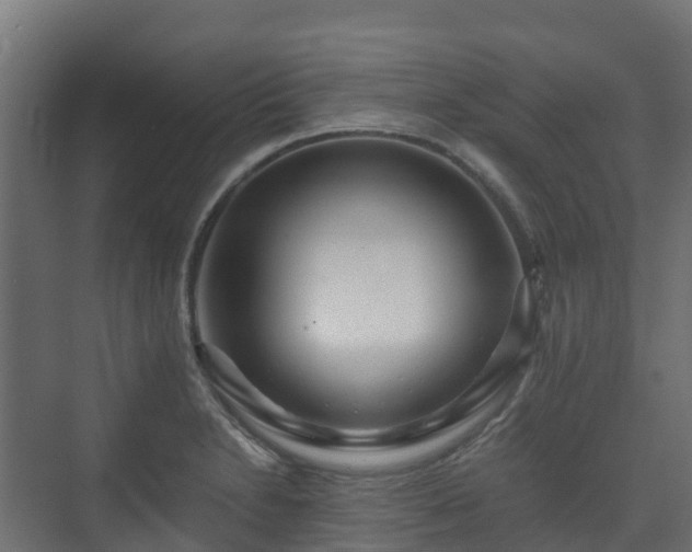 X0000073511230200608071047
