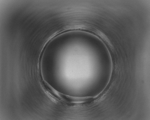 X0000073511234200608071047