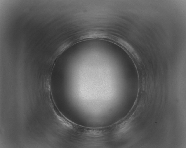 X0000073511241200608071047