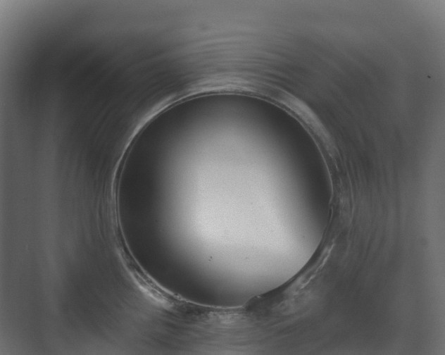 X0000073511242200608071047