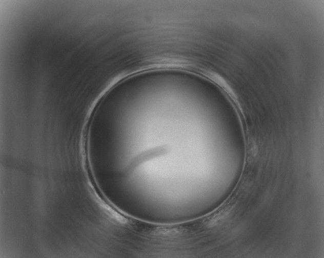 X0000073511243200608071047